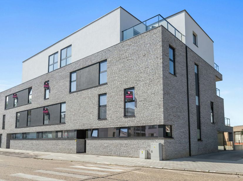 Appartement te koop
                    in 3630 Opgrimbie