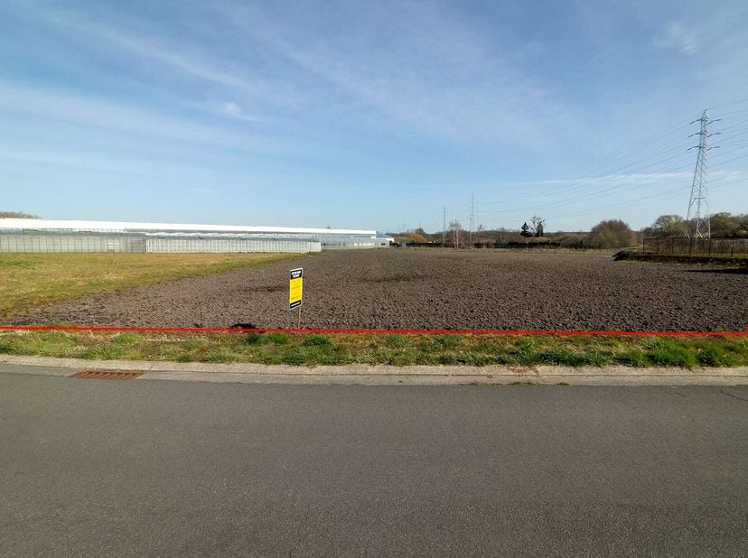 Terrain à vendre
                    à 3740 Munsterbilzen
