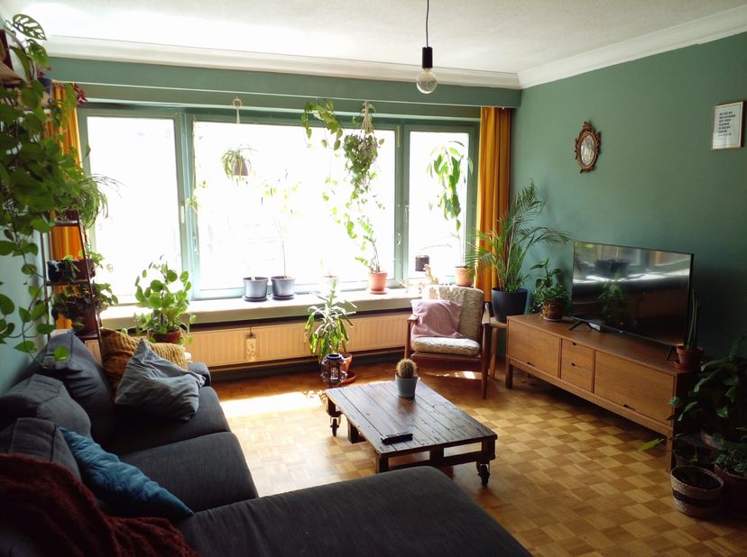 Dit ruime appartement (95m²) met 3 slaapkamers is gelegen in het bruisende Borgerhout vlakbij de Turnhoutsebaan en het Laar. &lt;br /&gt;
&lt;br /&gt;
Het apparte