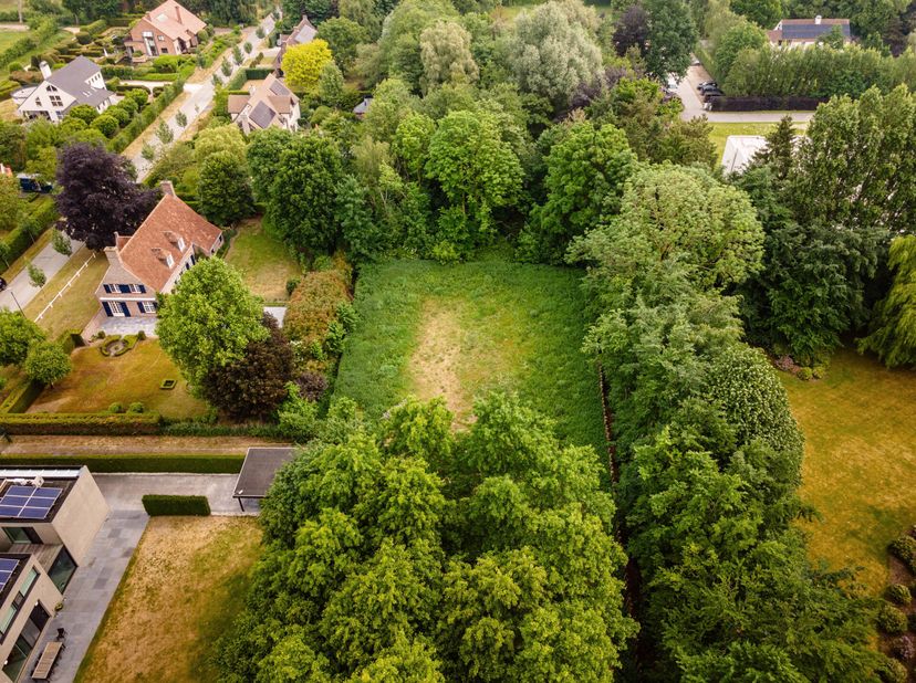 Bouwgrond met veel lichtinval, omgeven door groen en rust. Gelegen in de tweede bouwlijn staat privacy centraal, omringt door hoge bomen en woonparkzo