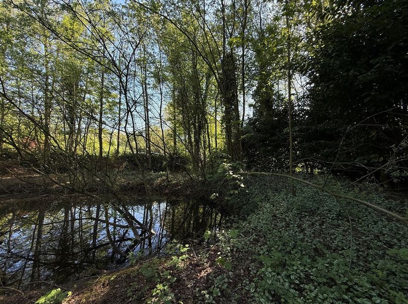 Gunstig gelegen recreatiegrond, gelegen te Graffendonk in Zoersel, met een oppervlakte van 1.148 m²&lt;br /&gt;
Stedenbouwkundige voorschriften: Voor wat be