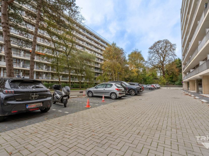TRIOR Louise vous présente ce chouette studio rez-de-jardin dune superficie de 41m² au PEB. Situé en retrait de la voirie et dans un environnement arb