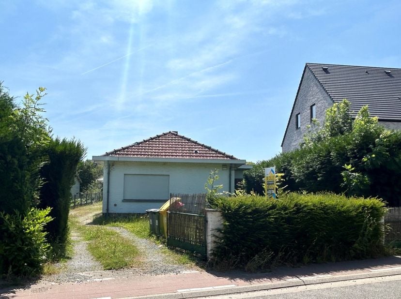 Tussen Leuven en Brussel treffen we het landelijke Leefdaal. Bekend om haar uitgestrekte bossen en weidse landschappen staat dit dorp garant voor een