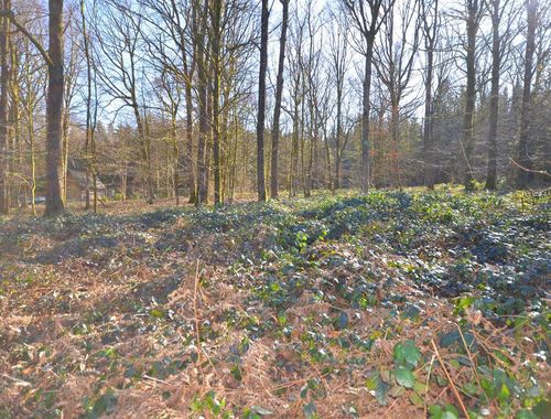                                         Terrain à vendre à Pesche, € 100.000
