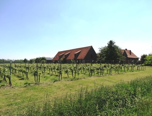                                         Hoeve te koop in Boezinge, € 990.000

