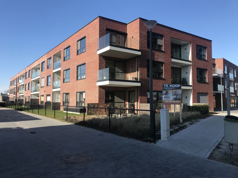 Terrain à vendre
                    à 3670 Meeuwen