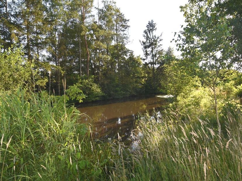 Terrain à vendre
                    à 3130 Begijnendijk