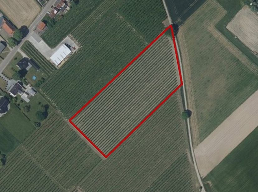 Landbouwgrond van 1ha 40a 07ca gelegen in Heers. Het betreft volgend perceel:&lt;br /&gt;
- 73038 HEERS 7 AFD/KLEIN-GELMEN/A462/00C&lt;br /&gt;
- huidige gewassen