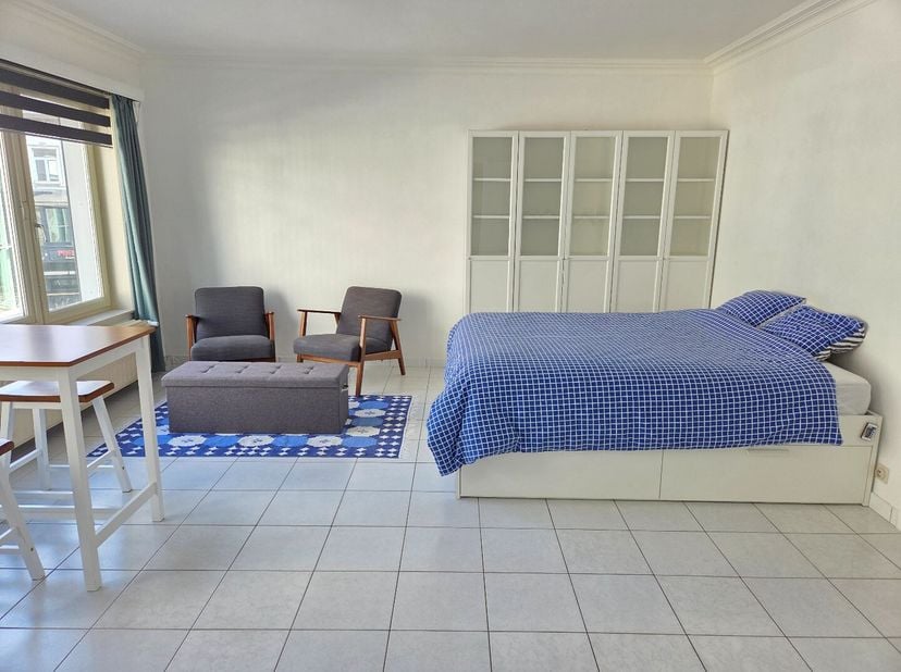 Deze lichtrijke studio bevindt zich op de tweede verdieping van de residentie &#039;Orchidee&#039;. Het gebouw is zeer gunstig gelegen: in het centrum van Ooste