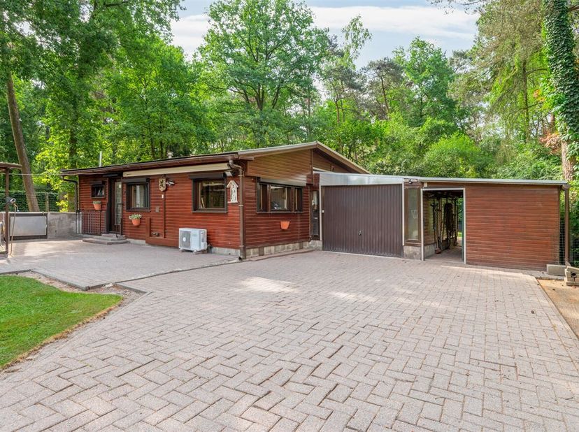 Gelijkvloerse chalet op perceel van 1000m² in een groene, rustige en bosrijke omgeving!&lt;br /&gt;
Een gelijkvloerse chalet te midden van het groen. De cha