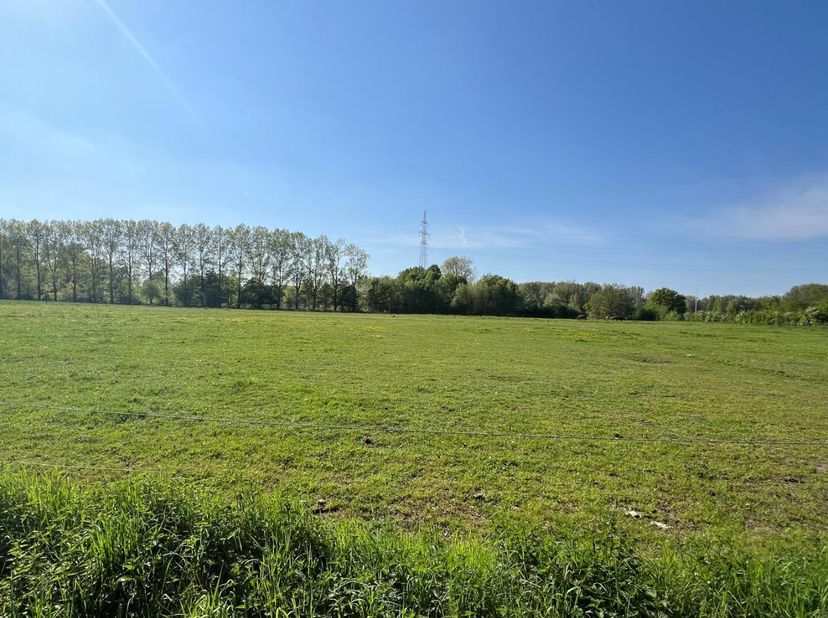 Dit mooi gelegen geheel wordt te koop aangeboden voor euro 12 per m²