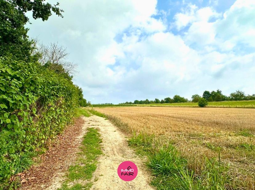 Terrain à vendre
                    à 3620 Veldwezelt