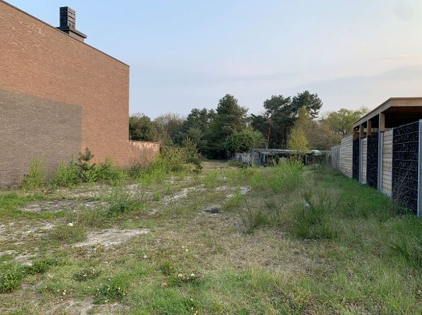 Terrain à vendre
                    à 3900 Overpelt