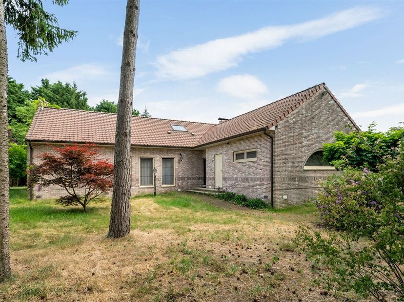 Maison à vendre
                    à 2280 Grobbendonk