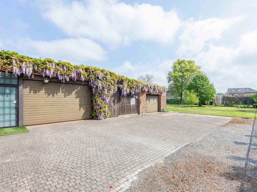 Bien professionnel à vendre
                    à 9100 Sint-Niklaas