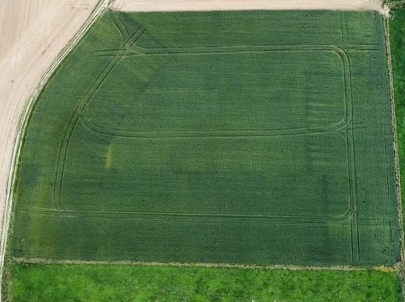 Un ensemble de champs (libres d&#039;occupation), sis aux lieux-dits « STEVENSKOUTER » « ELKENSVELD » et « BENEDEN STEVEN » connus au cadastre selon récent