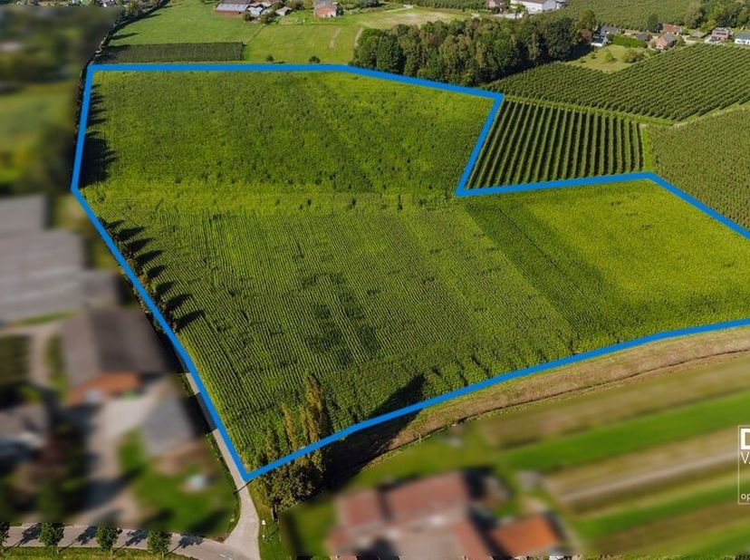Terrain à vendre
                    à 3540 Herk-de-Stad