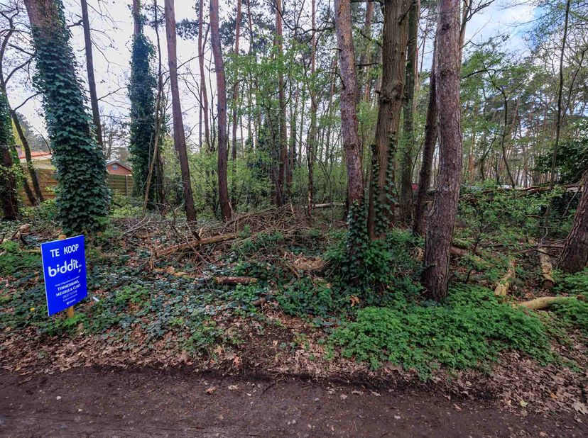 PERCEEL BOS  &lt;br /&gt;
 &lt;br /&gt;
Perceel bos van 10 are 4 centiare, gelegen in een Provinciaal ruimtelijk uitvoeringsplan &#039;Weekendverblijven, campings en r