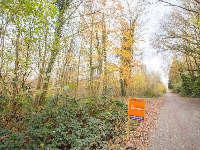 Grond te koop
                    in 5650 Walcourt