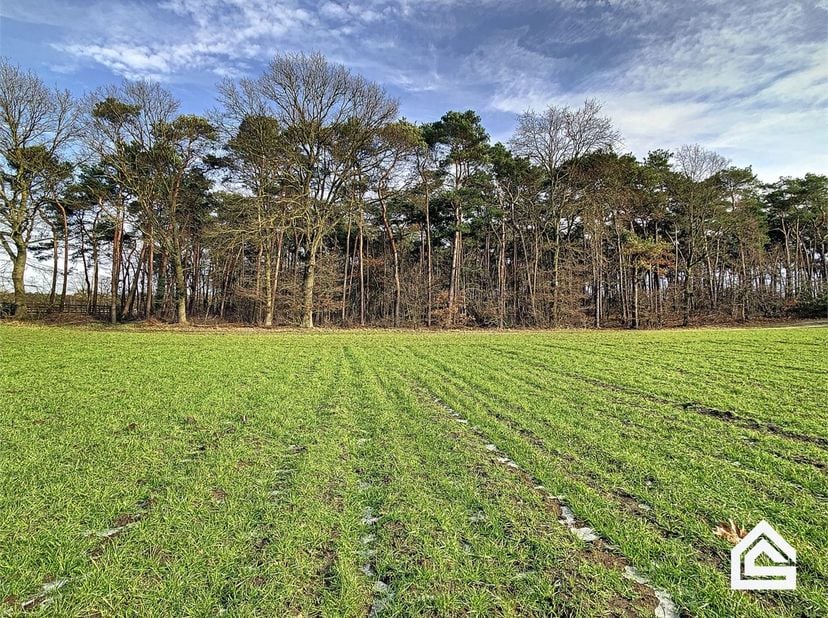 PLUSPUNTEN:&lt;br /&gt;
+ perceeloppervlakte: 16.501 m²&lt;br /&gt;
+ gelegen aan de Kakebeekstraat&lt;br /&gt;
+ omgeving Kreyelerheide&lt;br /&gt;
+ aard is bos&lt;br /&gt;
+ gew