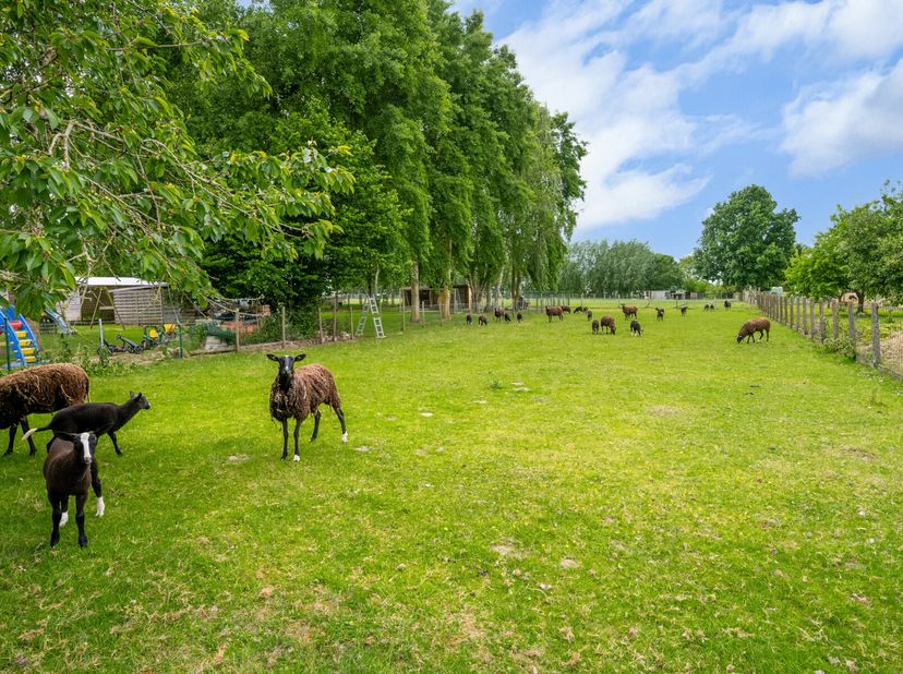 Découvrez ce magnifique bungalow, idéalement situé dans le quartier calme et verdoyant de Roborst, commune de Zwalm. Cette propriété vous offre de nom