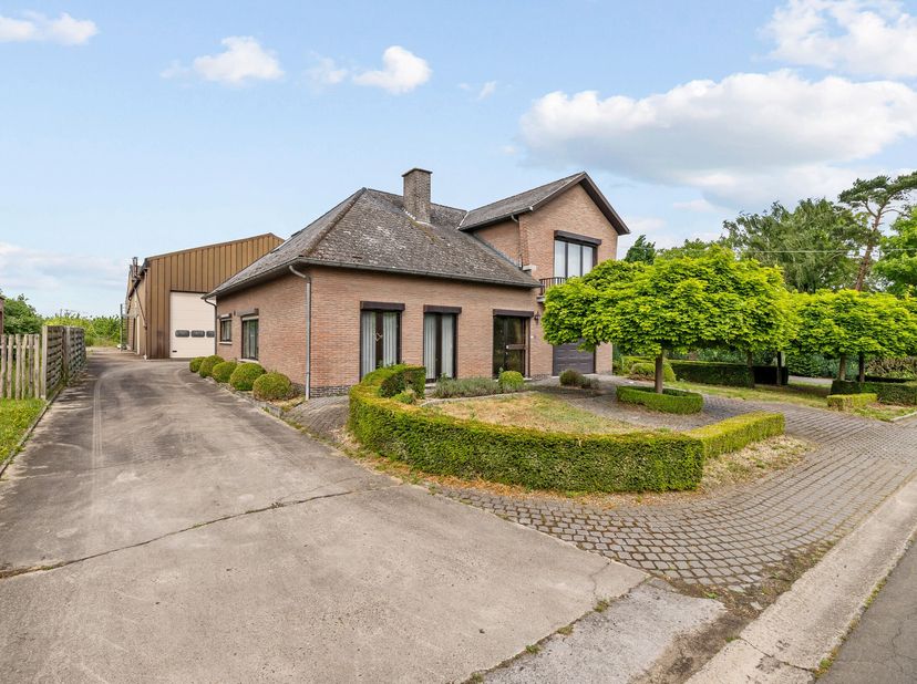 In het landelijke Alken, op Musstraat 12, bevindt zich deze unieke open bebouwing met achterliggende fruitloodsen en landbouwgronden gelegen op 1,1 he