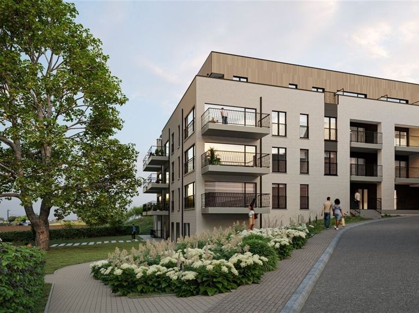 En bordure de la Sambre, dans le calme dun clos arboré, la première phase du projet « Les Canopées » sera composée de 25 appartements avec terrasse. L