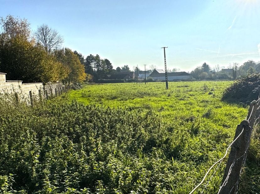 REF-877 - HAUTRAGE - 7334 - Terrain partiellement en zone d&#039;habitat en grande partie reprise en Zacc,.vendu comme prairie- Terrain avec prairie, Situé