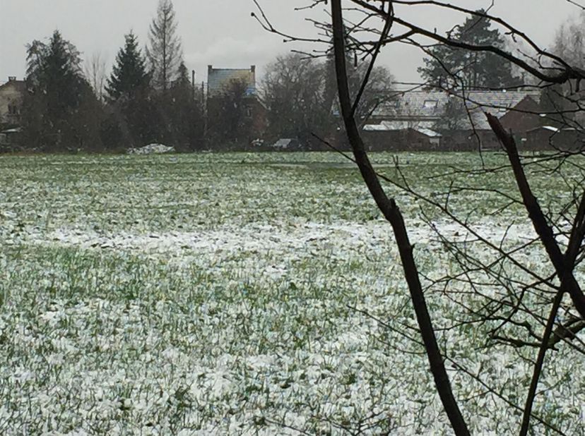 Saint-Denis (Bergen - Shape): Bouwgrond voor de bouw van +/-50 bungalows (#2X+1_DEDE_HAI)&lt;br /&gt;
 2,2 hectare recreatiegebied met twee opritten&lt;br /&gt;