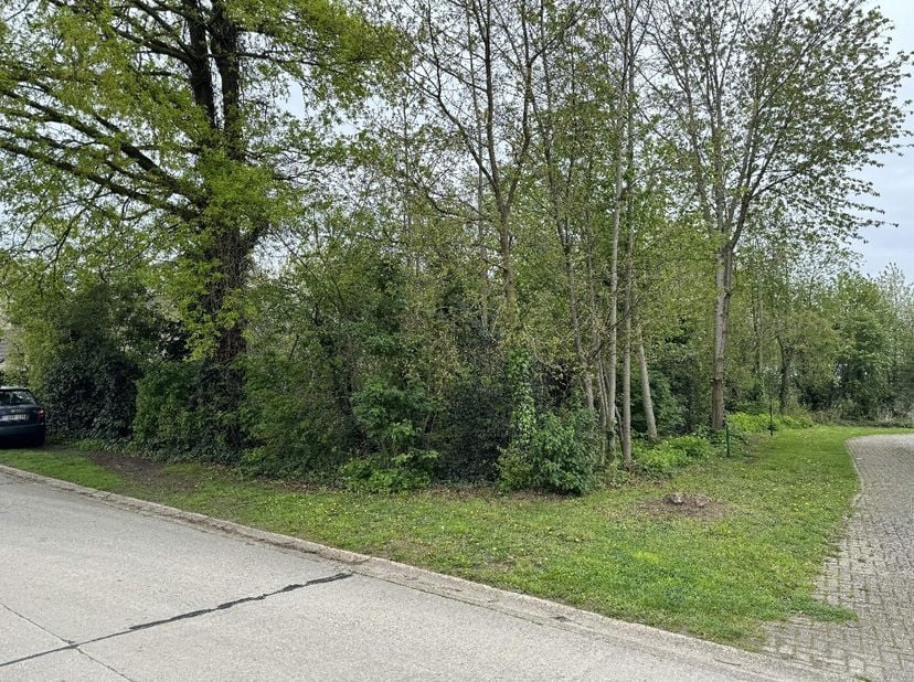 Terrain à vendre
                    à 2260 Oevel