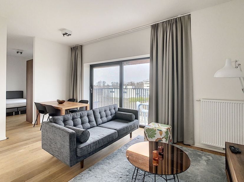 Lumineux studio meublé de 55 m² + terrasse 7 m² situé au 7ème étage d’un immeuble récent, bâti en 2017, La Résidence The Inside. Il se compose comme s