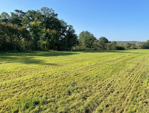                                         Bouwgrond te koop in Hotton, € 2.950.000
