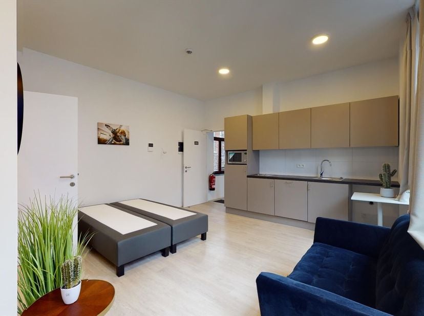 Deze prachtige bemeubelde studio bevindt zich in residentie HEMERA, gelegen in het hart van Leuven. De studio is volledig gerenoveerd in 2019 en biedt