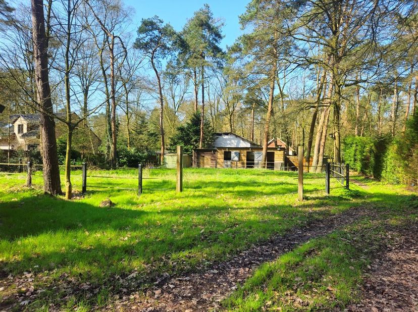 Bouwgrond geschikt voor een open bebouwing met een oppervlakte van 1800 m² gelegen te Schilde&lt;br /&gt;
Ligging: Gelegen op de grens van Schilde en Sint-A