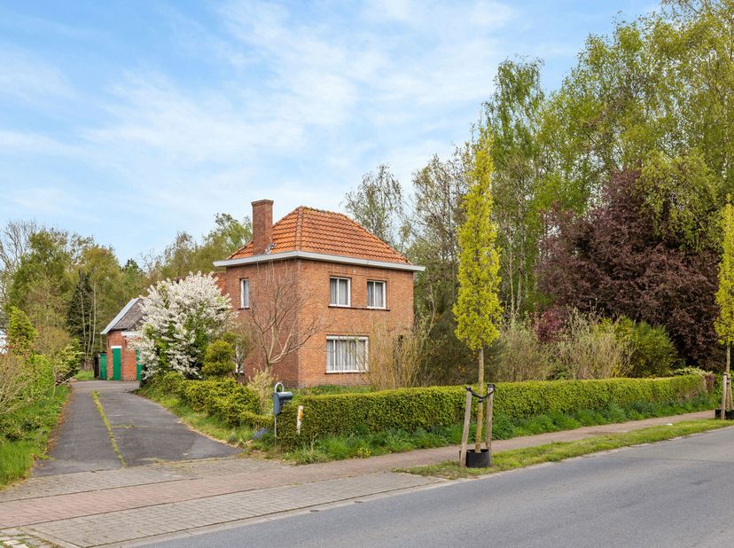 Maison à vendre
                    à 9990 Maldegem