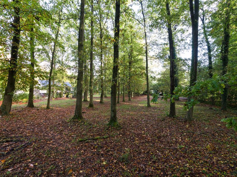 GREZ-DOICEAU - sur les hauteurs du hameau de Biez, superbe TERRAIN DE FOND de 20 ares. Situé dans un environnement préservé et au grand calme, il semb