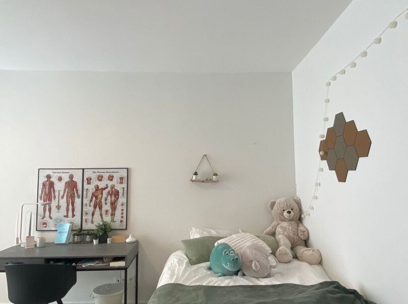 Deze bemeubelde studio in de residentie ADELINE in Leuven is een prachtige studio met een bewoonbare oppervlakte van 33.50 vierkante meter. De studio
