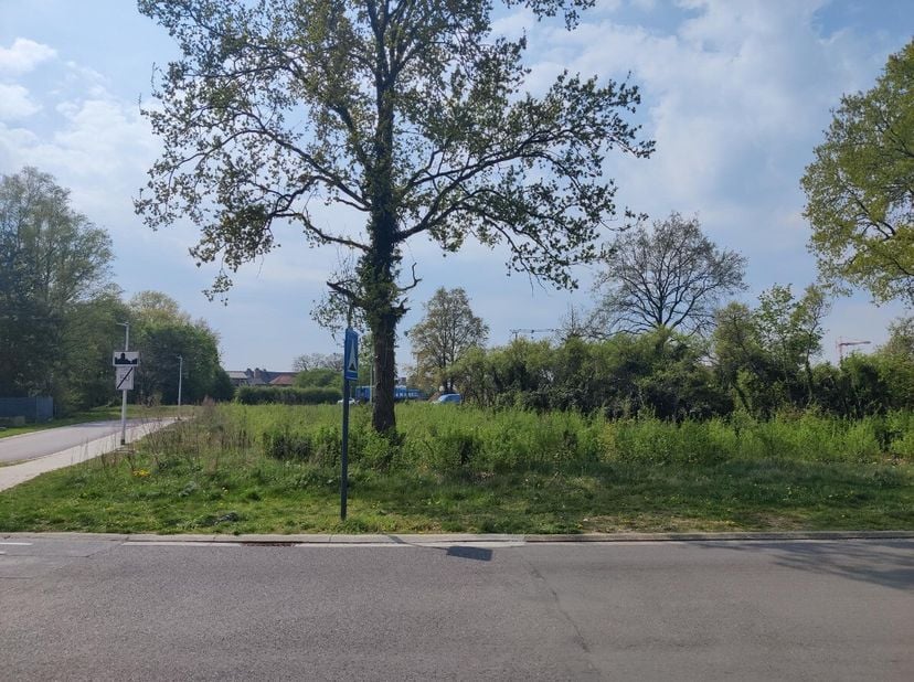Terrain à vendre
                    à 3582 Koersel