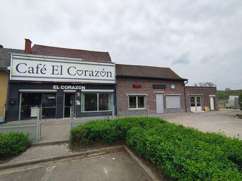 Bien professionnel à vendre
                    à 9500 Viane
