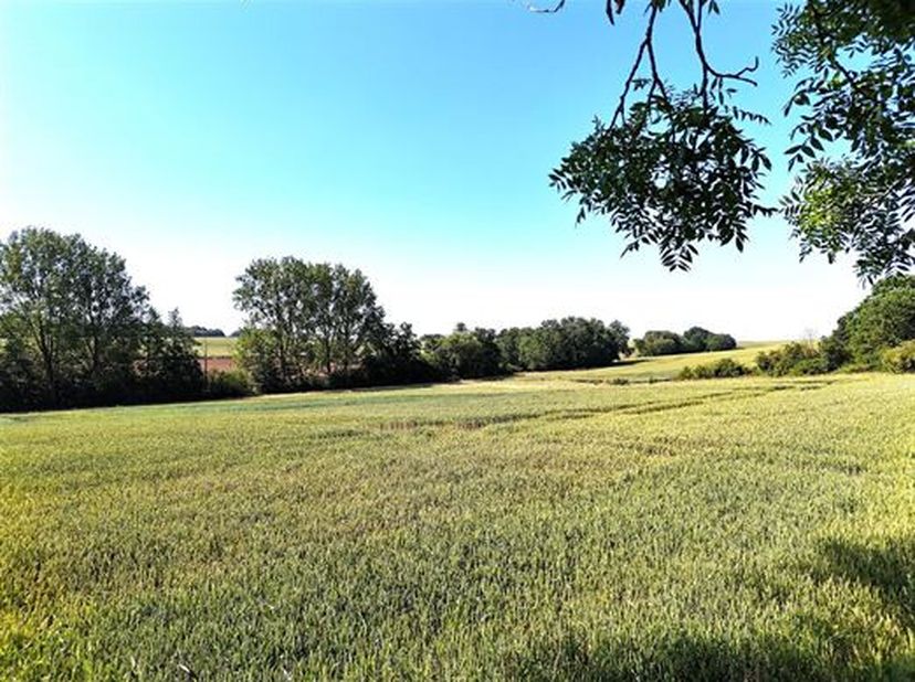 Belle terre d&#039;une contenance de 1 ha 55 a 90 ca&lt;br /&gt;
Accès aisé.&lt;br /&gt;
Bonne qualité de sol pour la région.&lt;br /&gt;
Occupée suivant un bail à ferme.