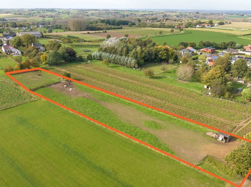 ZOTTEGEM - Weide op 66,66 are met schuilstal&lt;br /&gt;
Deze volledig afgepaalde weide is gelegen in de Olmstraat.&lt;br /&gt;
Ideaal voor paarden of andere dier