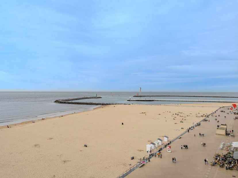 Ce charmant appartement (112 m²) à vendre est situé au huitième étage de la résidence bien entretenue «Le France», le long de la promenade Albert I-à