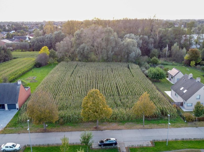 Terrain à vendre
                    à 9870 Zulte