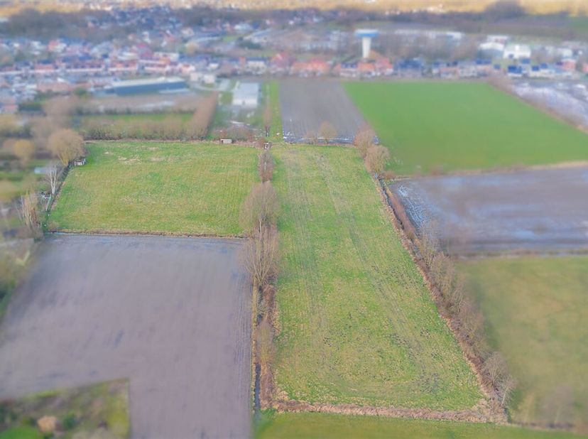 Terrain à vendre
                    à 2890 Sint-Amands