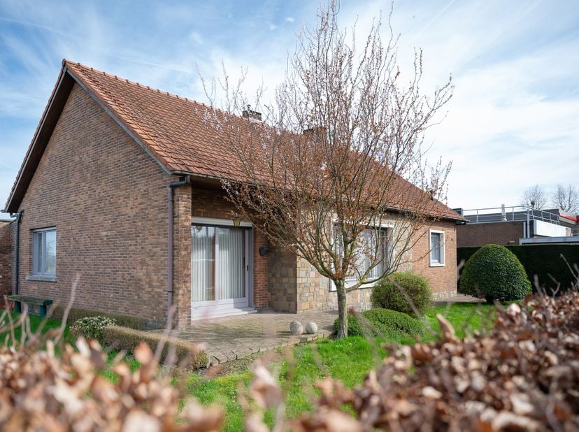 Bien professionnel à vendre
                    à 2070 Zwijndrecht