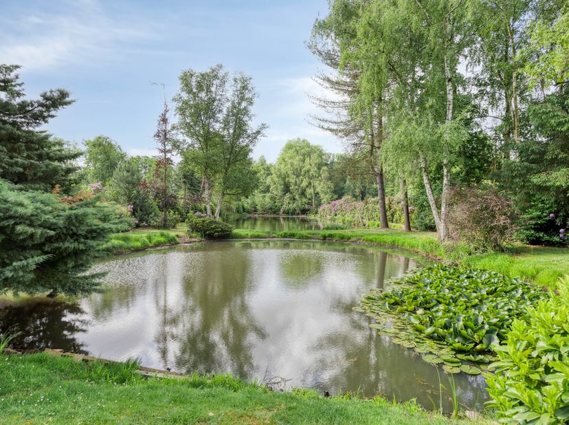 Terrain à vendre
                    à 2430 Vorst