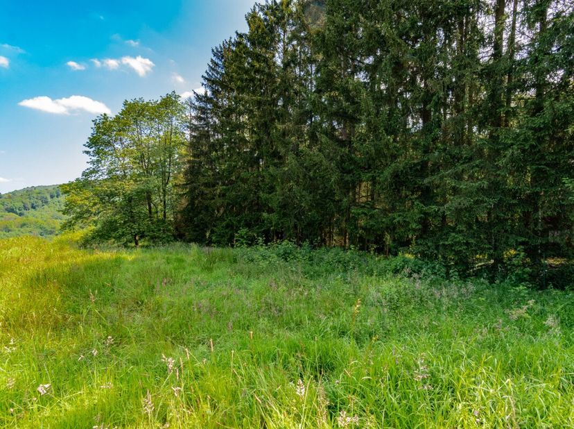 Lagence ERA B-Lux a le plaisir de vous présenter ce magnifique terrain de 850 m², situé dans la vallée de lOurthe, à Hampteau, dans la commune de Hott