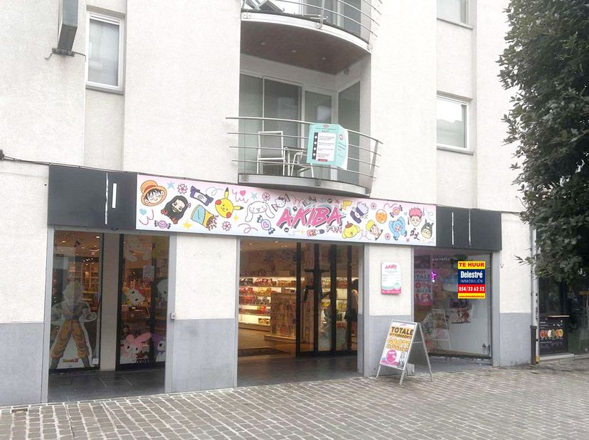 Bien professionnel à louer
                    à 9300 Aalst