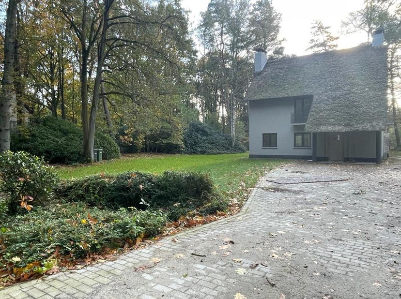 Maison à louer
                    à 2950 Kapellen