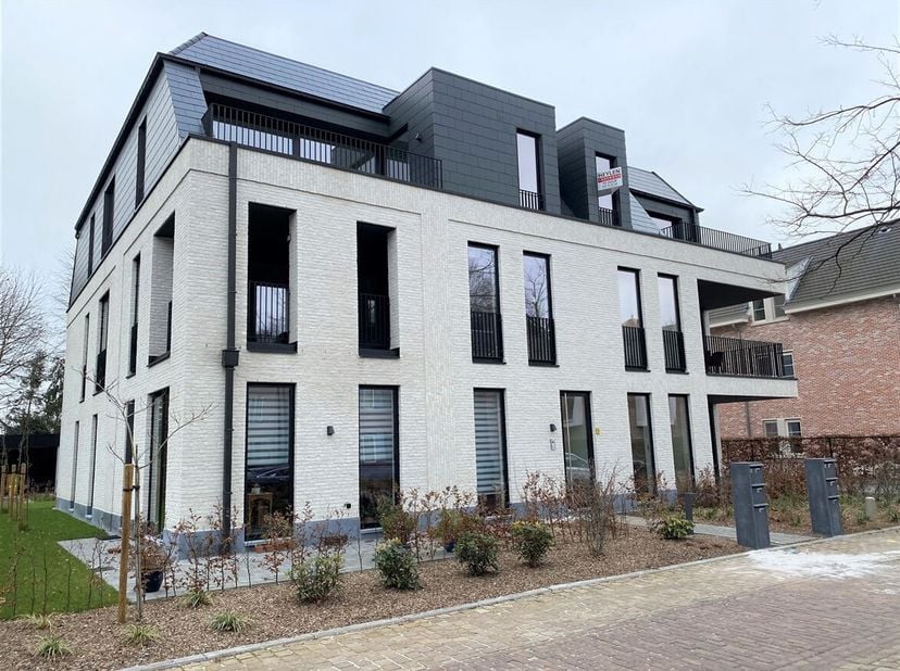 Appartement à louer
                    à 2440 Geel